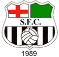 stroud fc crest 1989