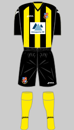 harrogate town 2012-13